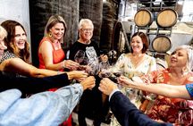 Hawke Bay Great Wine Capital Group Tour