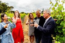 Hawke Bay Great Wine Capital Group Tour