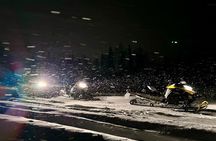 Private: Snowmobile Safari from Riverside Lodge - 3h