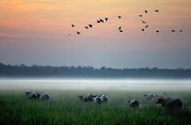  Kakadu National Park Full Day Tour + Yellow Water River Cruise