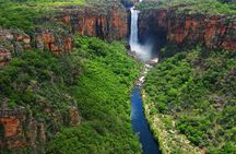  Kakadu National Park Full Day Tour + Yellow Water River Cruise
