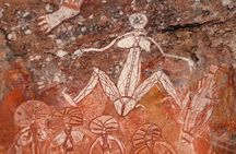  Kakadu National Park Full Day Tour + Yellow Water River Cruise