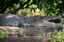  Kakadu National Park Full Day Tour + Yellow Water River Cruise