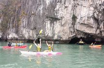 Amazing Day Cruise at Halong Bay Shore Excursion from Cruise Port