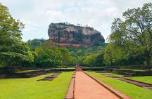 Sigiriya Lion Rock & Evening Safari Full Day Private Tour