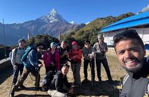 Experience Mardi Himal Trek 