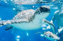 Protaras: Harmony | Luxury boat, water slide, Value Adventure