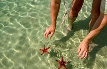PRIVATE Discover Phu Quoc Local life and Starfish Beach & Lunch