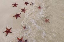 PRIVATE Discover Phu Quoc Local life and Starfish Beach & Lunch