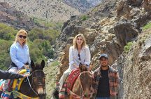 Marrakech: Atlas Mountains & three Valleys and Tradition Culture 