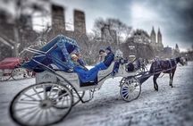 Official Private NYC CentralPark Horse Carriage Ride Since 1972 