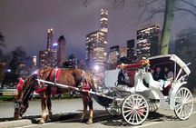 Official Private NYC CentralPark Horse Carriage Ride Since 1972 