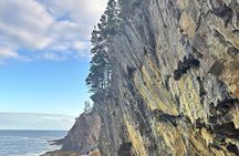 Private 8-Hour Halifax and South Shore Guided Tour