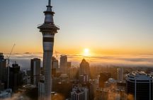 Auckland Half Day Tour Through Urban Wonders