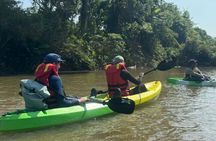 Terengganu Wildlife Kayak Tour