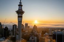 Auckland Half Day Attractions and Museums Tour