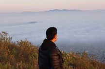 Scenic Cable Car Ride to the City’s Hidden Volcano
