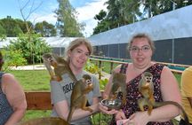 Monkey Tour Interaction and Damajagua waterfalls in Puerto Plata.