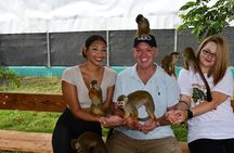 Monkey Tour Interaction and Damajagua waterfalls in Puerto Plata.