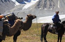 Horse Trekking in Altai Tavan Bogd National Park