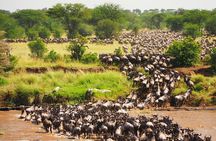 3 Days 2 Nights Maasai Mara Group Safari by 4WD From Nairobi