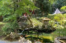 Kyoto Walking Tour Goshuin Collecting and Temples Discover
