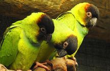 Private Cape Town City Tour table Mountain with wine tasting