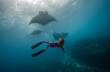 Snorkeling and Freediving Trip around Nusa Penida