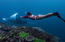 Snorkeling and Freediving Trip around Nusa Penida