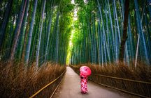 From Osaka: Kyoto Must-see Spots & Nara Park Sightseeing Day Tour