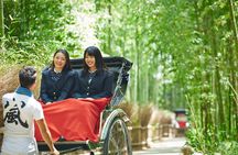 From Kyoto / Osaka: Kyoto Must-see Spots & Nara Park One Day Tour