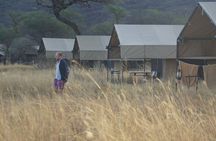 5 days Tanzania budget safari with big five