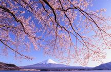Mount Fuji Full Day Tour form Tokyo Lake Kawaguchi & Yamanaka