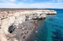 Cruise Shore Sea Lions Experience Punta Loma and city overview