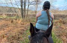 Horseback Riding Through Scenic Park in Brookeville 
