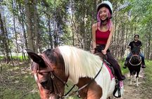 Horseback Riding Through Scenic Park in Brookeville 