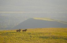 Golden Hour Horseback Ride on Easter Island – Scenic Experience