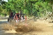 Punta Cana Jungle Buggy Tour: Macao Beach Visit and Cenote Swim