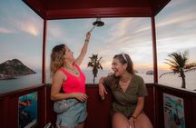Mazatlan Observatorio 1873 Ticket and Pass 