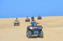 Cactus Premium Combo: Two Tours, One Epic Day in cabos