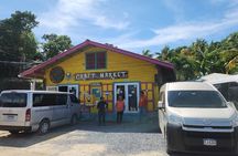 Roatan Private 12 setter Bus with Driver for the day
