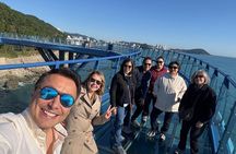 Busan shared tour up to 12 guests