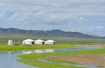 2 Days Hustai National Park and Nomadic homestay tour