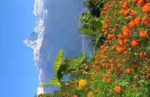 Full day Suspension Bridge, Boating, George, Sightseeing Tour