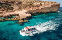 Guided Diving in the Heart of the Mediterranean Sea
