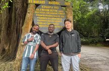 Full Day Private Hiking Tour to Kilimanjaro Mountain