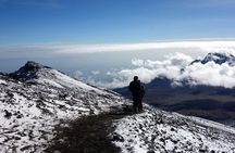 Full Day Private Hiking Tour to Kilimanjaro Mountain
