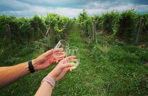 Lunch in the Vineyard: A Scenic Niagara Wine Tour Experience
