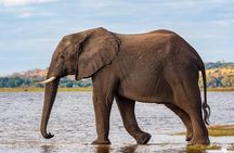3 Day Safari to Serengeti National Park and Ngorongoro Crater