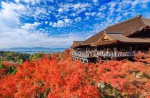 Kyoto & Uji: Full Day Sightseeing Tour from Osaka or Kyoto